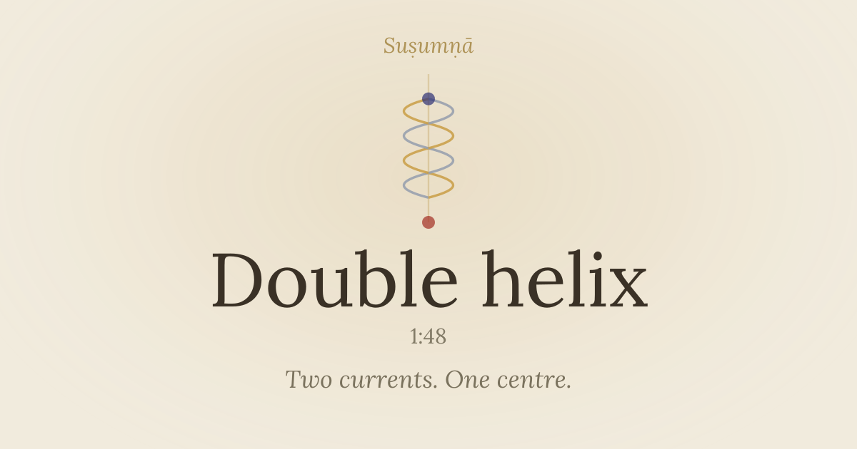 Double helix — susumna.com/double-helix