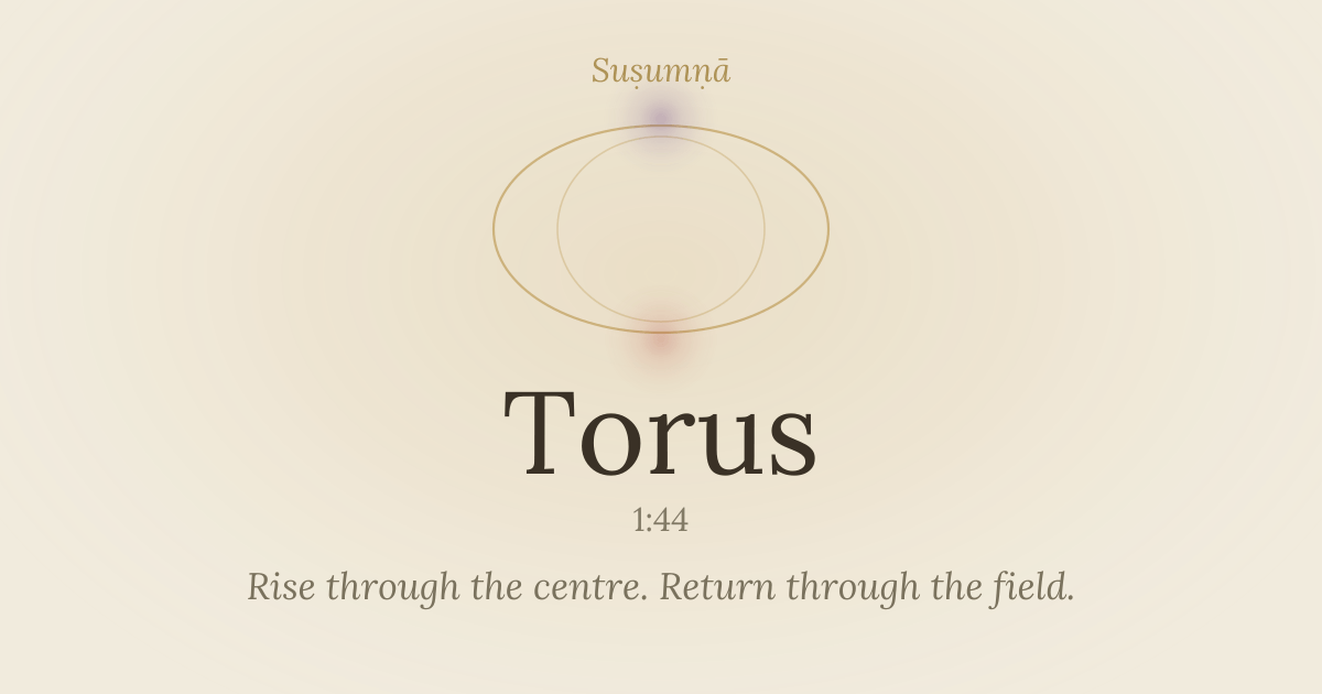 Torus — susumna.com/torus